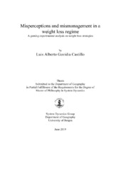 PDF) Weigth loss strategies